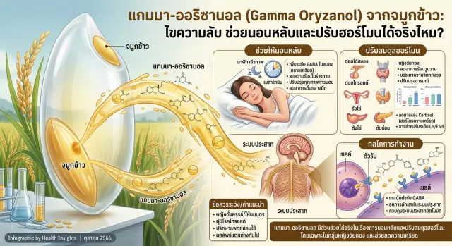 แกมมา-ออริซานอล สารสำคัญจากจมูกข้าว ช่วยให้นอนหลับและปรับสมดุลฮอร์โมนได้จริงไหม?